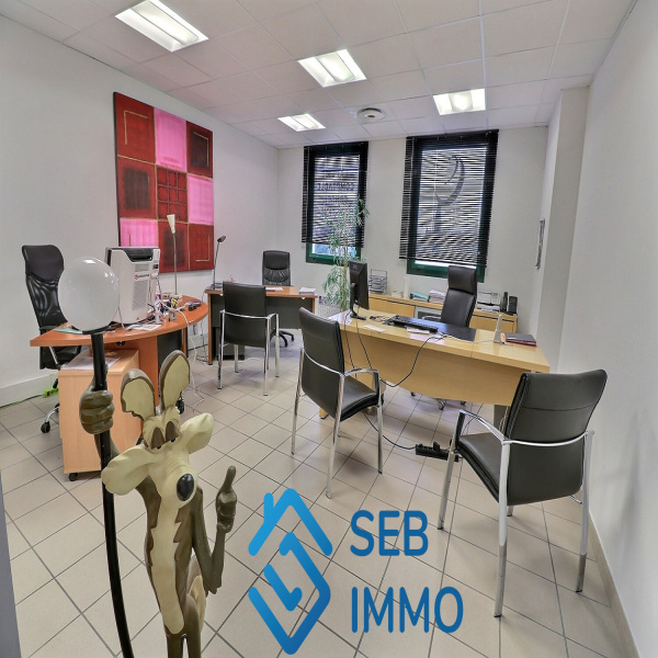 Vente Immobilier Professionnel Bureaux Toulouges 66350